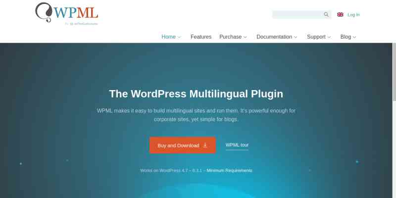 WPML Translation Analytics