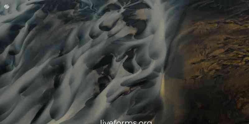 Download After Submit