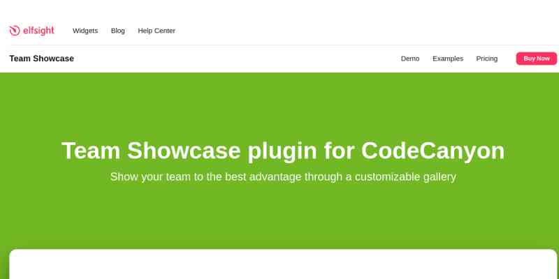 Elfsight Team Showcase CC