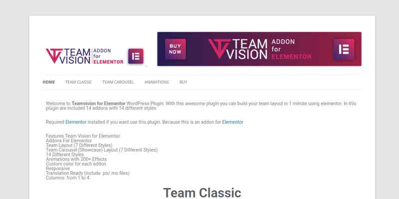 Team Vision for Elementor
